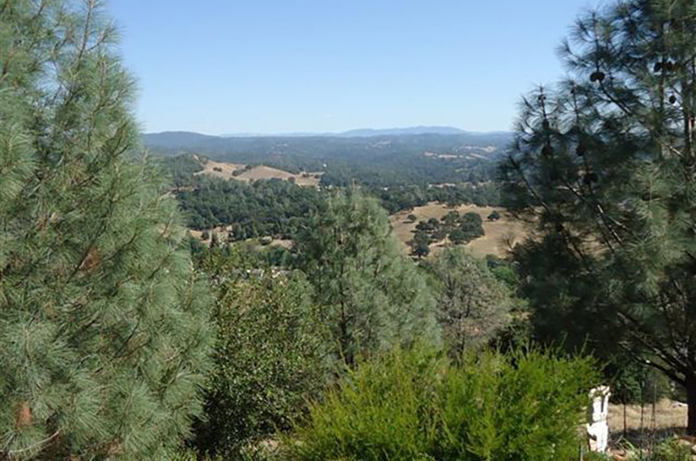 10524 Ridgecrest